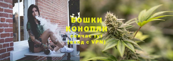 прущий лед Нея