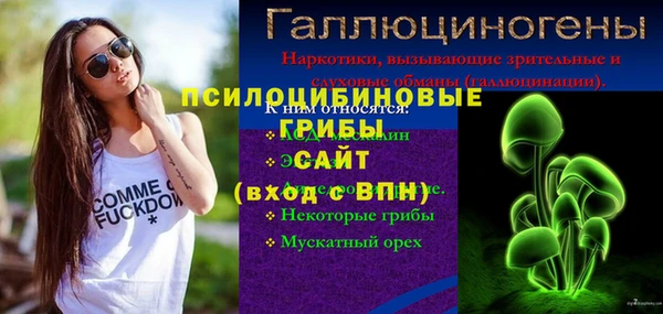 прущий лед Нея